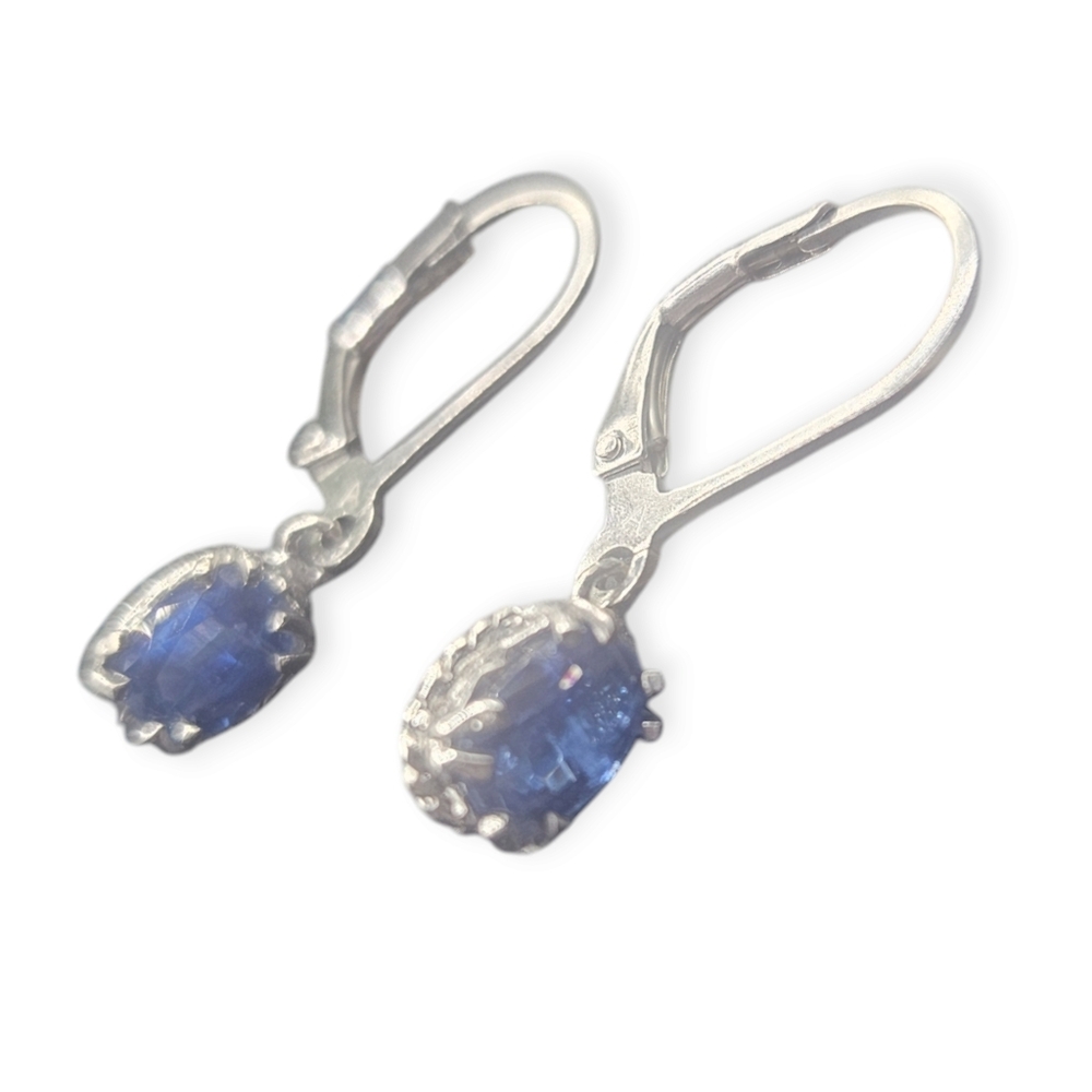 Kyanite Dangling Earrings